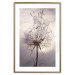 Wall Poster Divided Moment - delicate dandelion flowers on an evening sky 137275 additionalThumb 3
