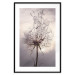 Wall Poster Divided Moment - delicate dandelion flowers on an evening sky 137275 additionalThumb 2