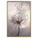 Wall Poster Divided Moment - delicate dandelion flowers on an evening sky 137275 additionalThumb 4