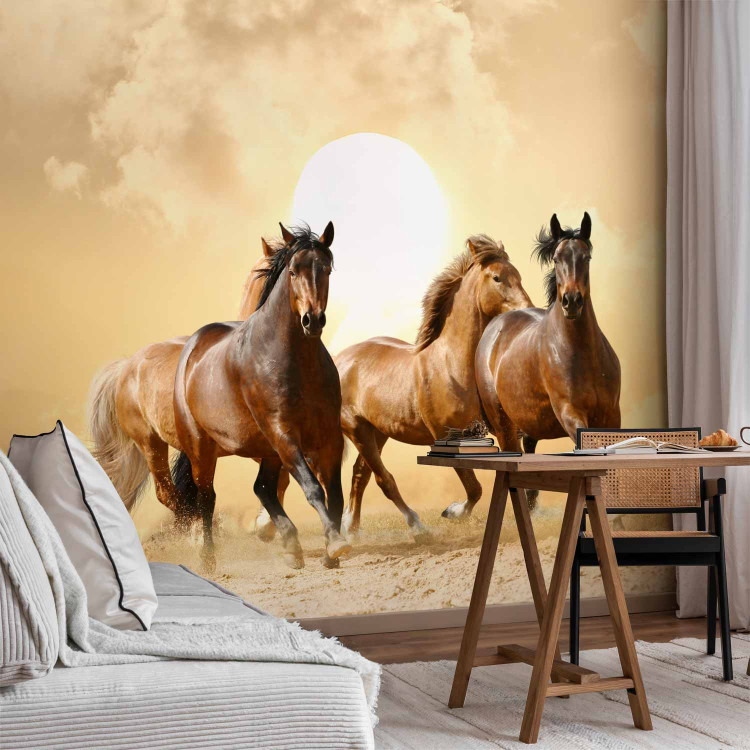 Wall Mural Gallop of Stallions - Brown horses against a sunset background with clouds 61275 additionalImage 4