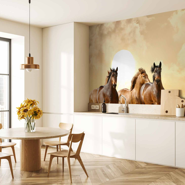 Wall Mural Gallop of Stallions - Brown horses against a sunset background with clouds 61275 additionalImage 7