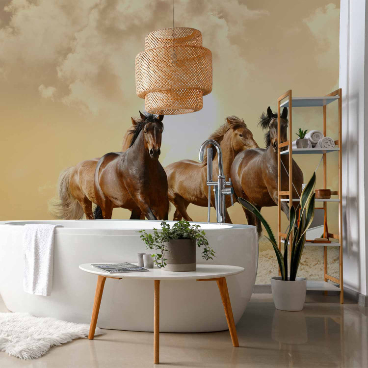 Wall Mural Gallop of Stallions - Brown horses against a sunset background with clouds 61275 additionalImage 8