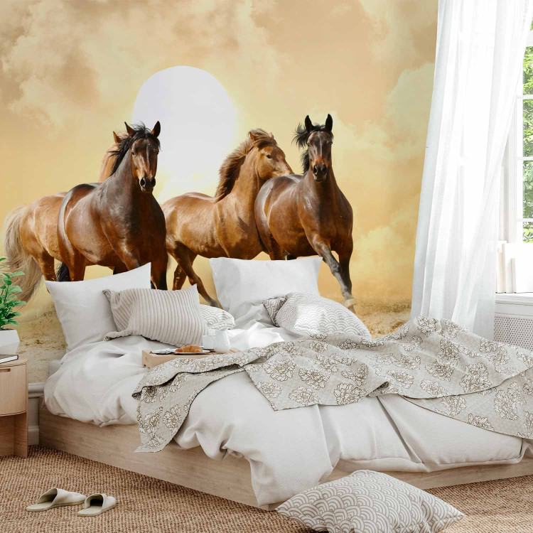 Wall Mural Gallop of Stallions - Brown horses against a sunset background with clouds 61275 additionalImage 2