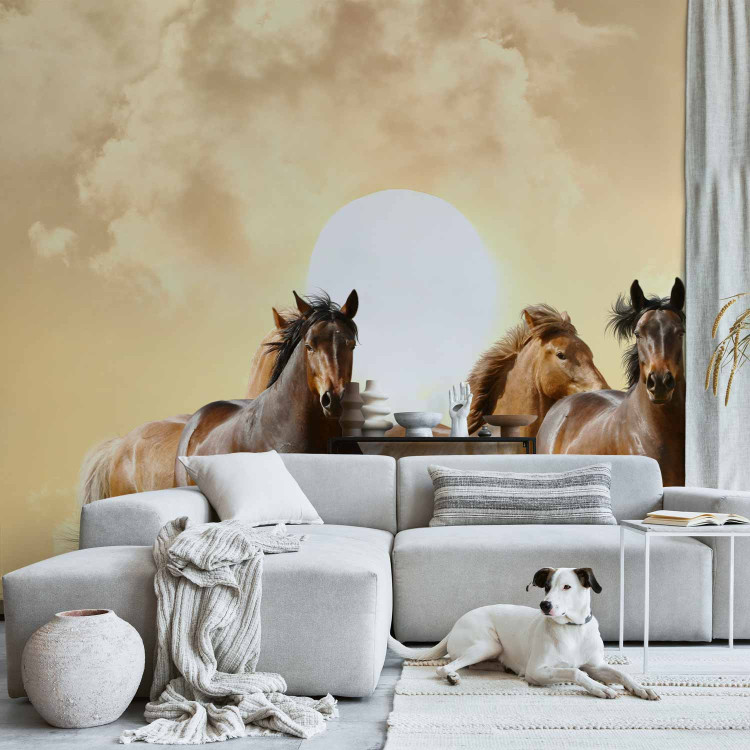 Wall Mural Gallop of Stallions - Brown horses against a sunset background with clouds 61275