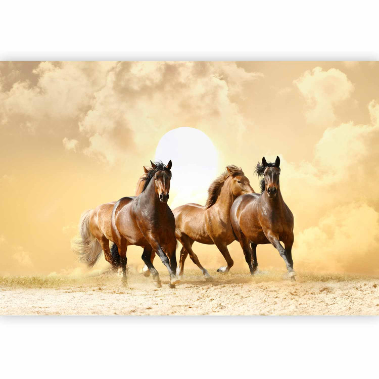 Wall Mural Gallop of Stallions - Brown horses against a sunset background with clouds 61275 additionalImage 1