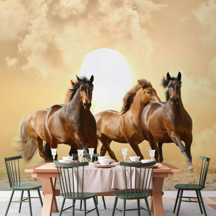 Wall Mural Gallop of Stallions - Brown horses against a sunset background with clouds 61275 additionalImage 6