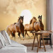 Wall Mural Gallop of Stallions - Brown horses against a sunset background with clouds 61275 additionalThumb 4