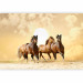 Wall Mural Gallop of Stallions - Brown horses against a sunset background with clouds 61275 additionalThumb 1