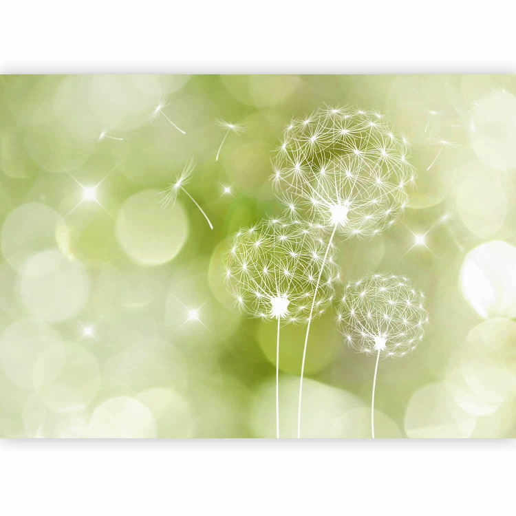 Photo Wallpaper Flowers in the wind - outline of dandelions on a green background in sunlight 90075 additionalImage 1