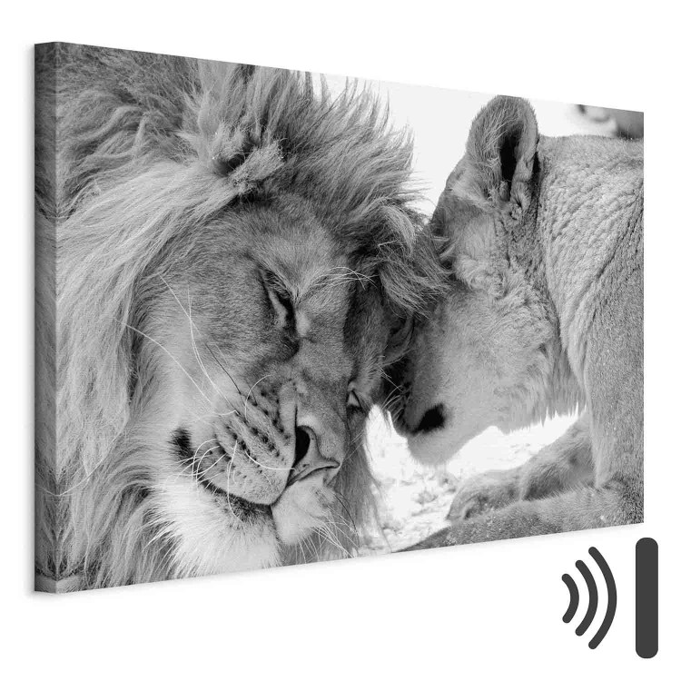 Canvas Lion's Love 97575 additionalImage 8