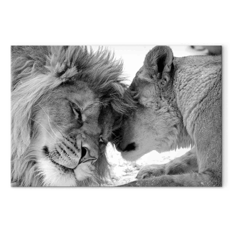 Canvas Lion's Love 97575
