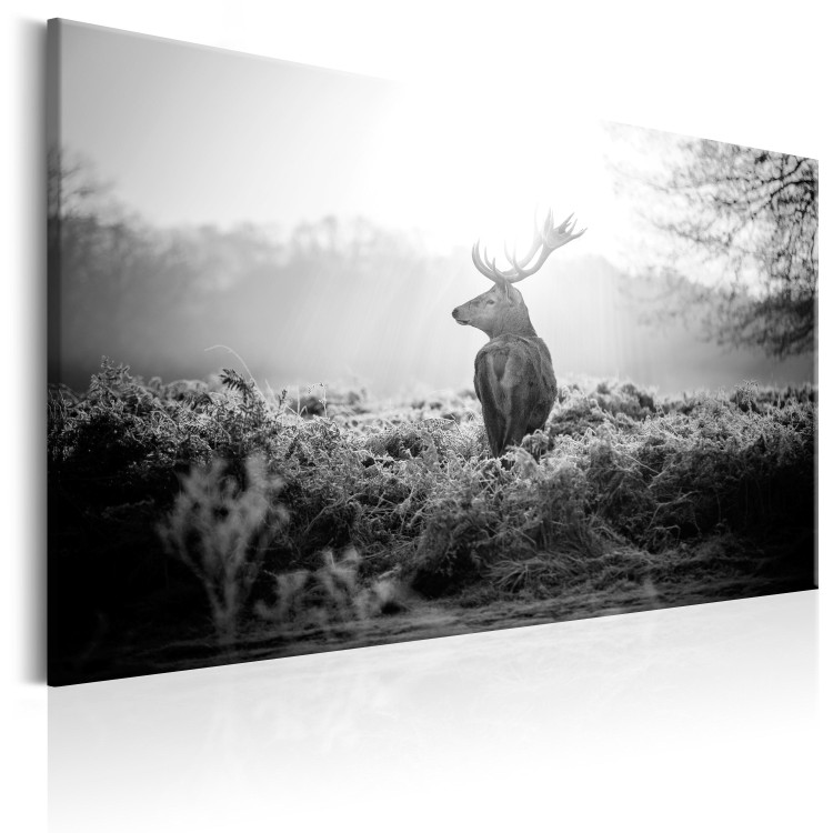 Canvas Print Black and White Deer 105785 additionalImage 2