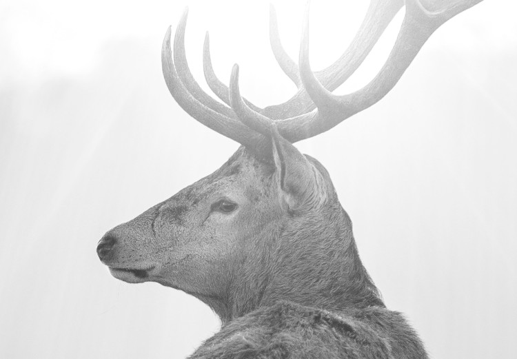 Canvas Print Black and White Deer 105785 additionalImage 5