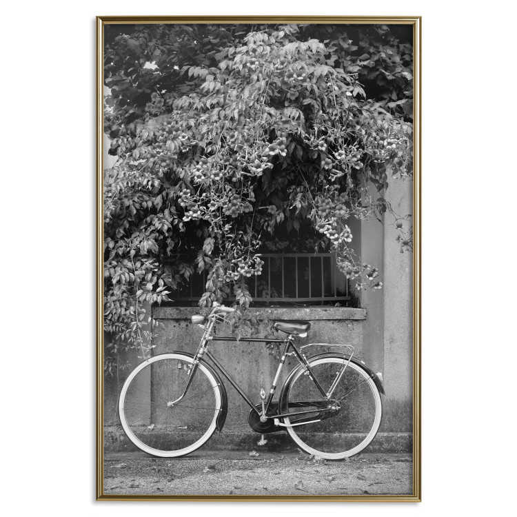 Wall Poster Bicycle and Flowers - black and white urban landscape with a bike on the street 117785 additionalImage 16