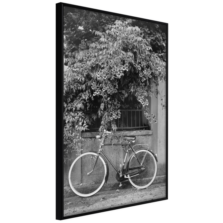 Wall Poster Bicycle and Flowers - black and white urban landscape with a bike on the street 117785 additionalImage 10