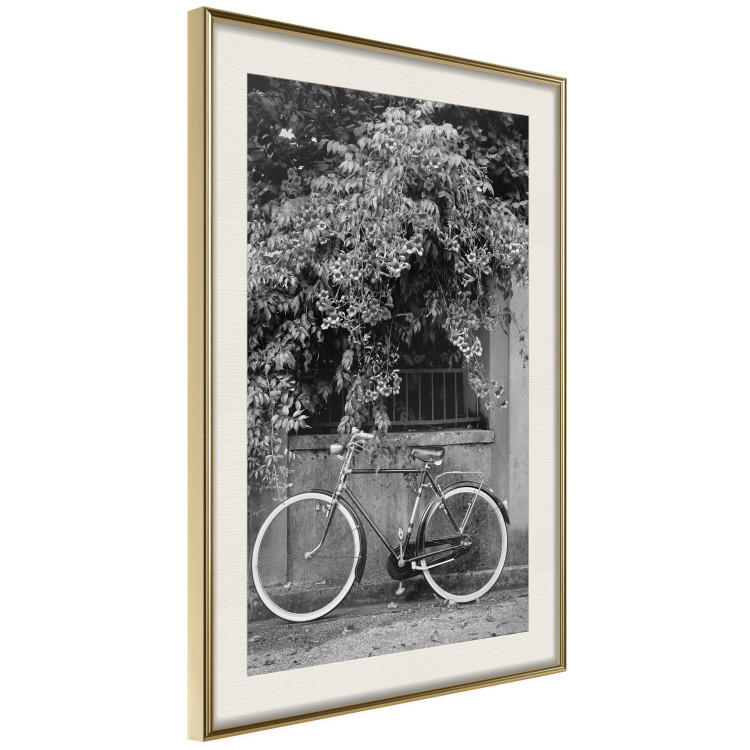 Wall Poster Bicycle and Flowers - black and white urban landscape with a bike on the street 117785 additionalImage 2