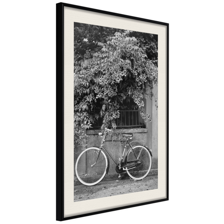 Wall Poster Bicycle and Flowers - black and white urban landscape with a bike on the street 117785 additionalImage 3