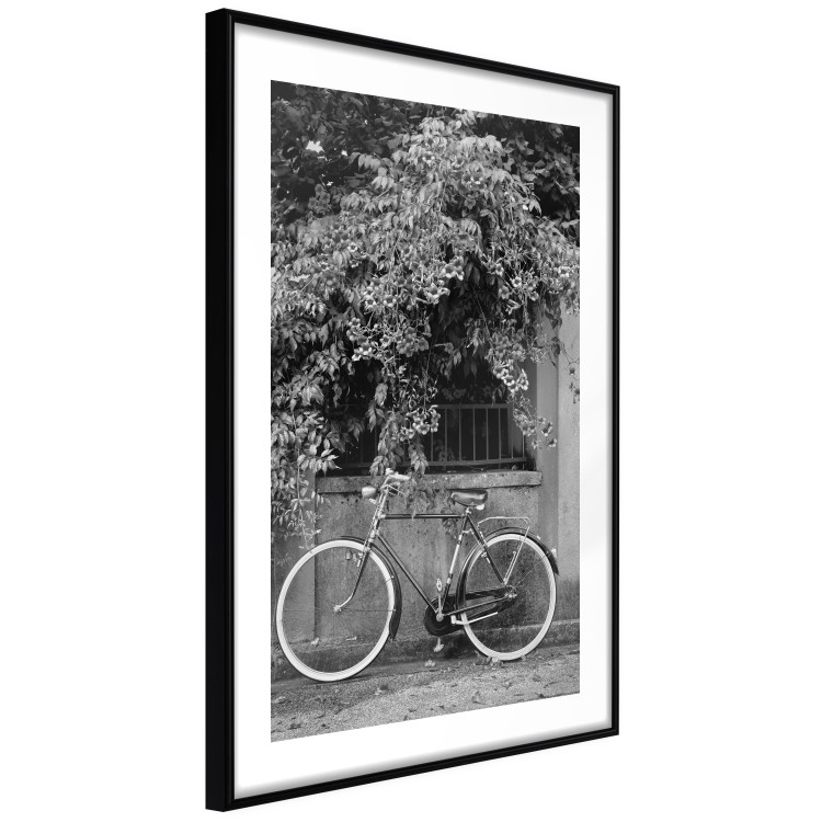 Wall Poster Bicycle and Flowers - black and white urban landscape with a bike on the street 117785 additionalImage 11