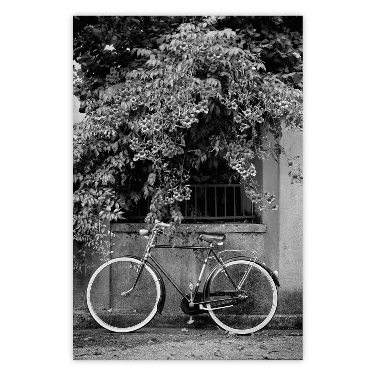 Wall Poster Bicycle and Flowers - black and white urban landscape with a bike on the street 117785