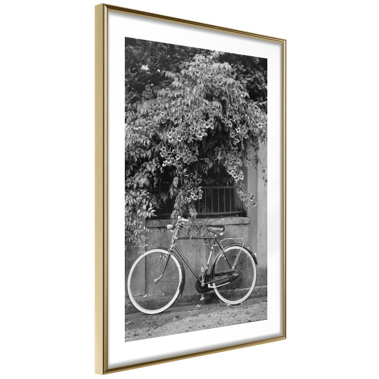 Wall Poster Bicycle and Flowers - black and white urban landscape with a bike on the street 117785 additionalImage 6