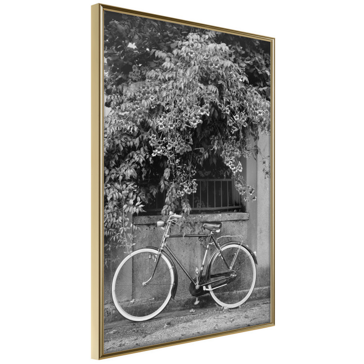 Wall Poster Bicycle and Flowers - black and white urban landscape with a bike on the street 117785 additionalImage 14