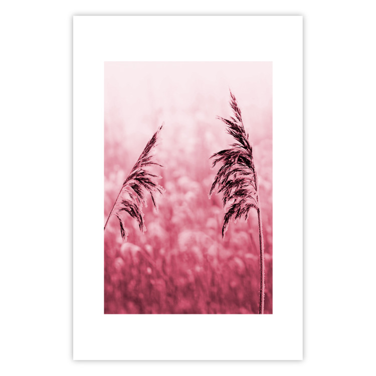 Poster Ruby Spikes - simple composition with field plants in pink tones 119185
