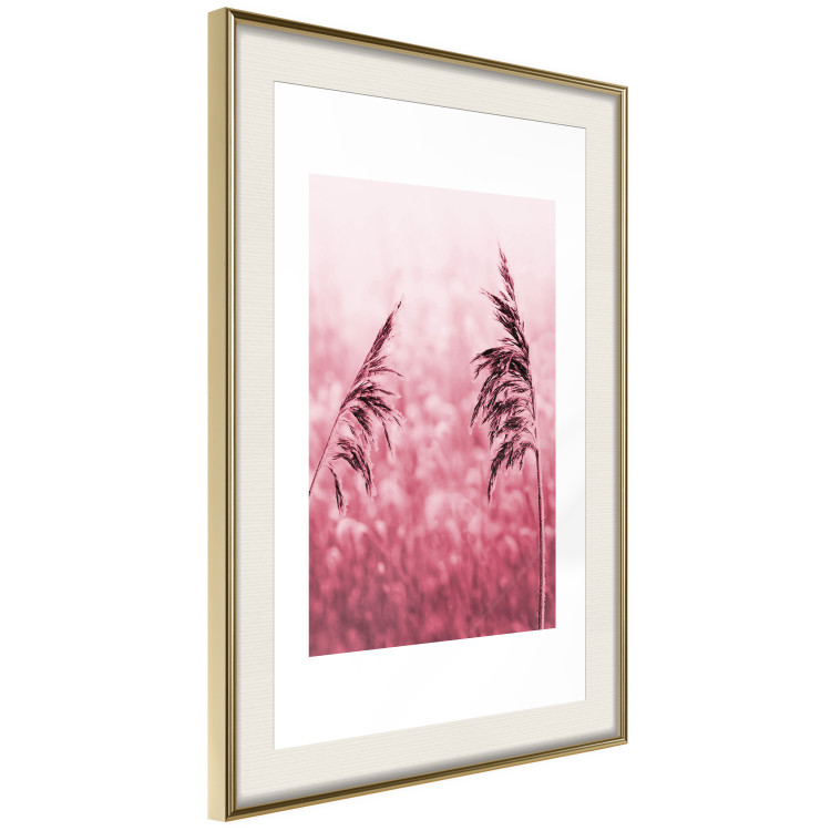Poster Ruby Spikes - simple composition with field plants in pink tones 119185 additionalImage 2