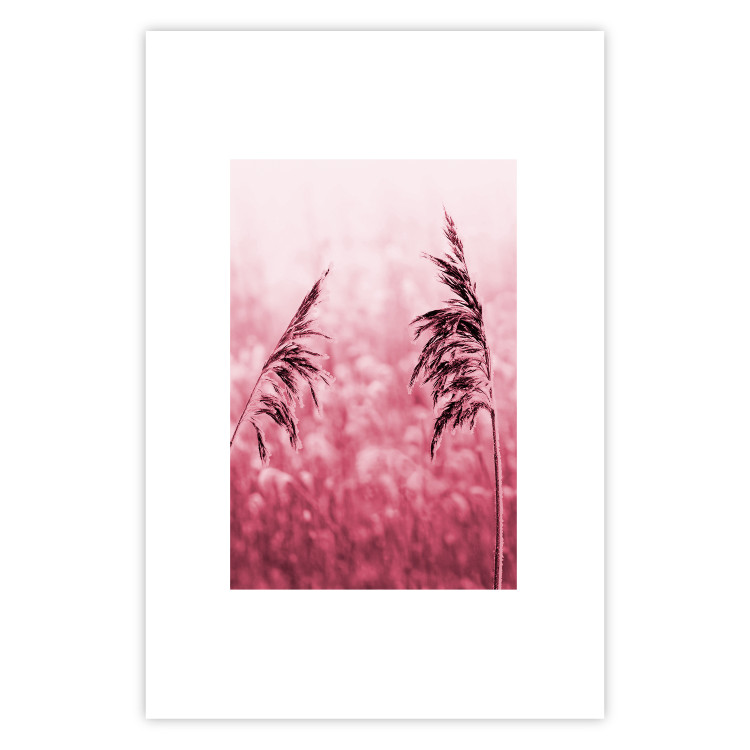 Poster Ruby Spikes - simple composition with field plants in pink tones 119185 additionalImage 18