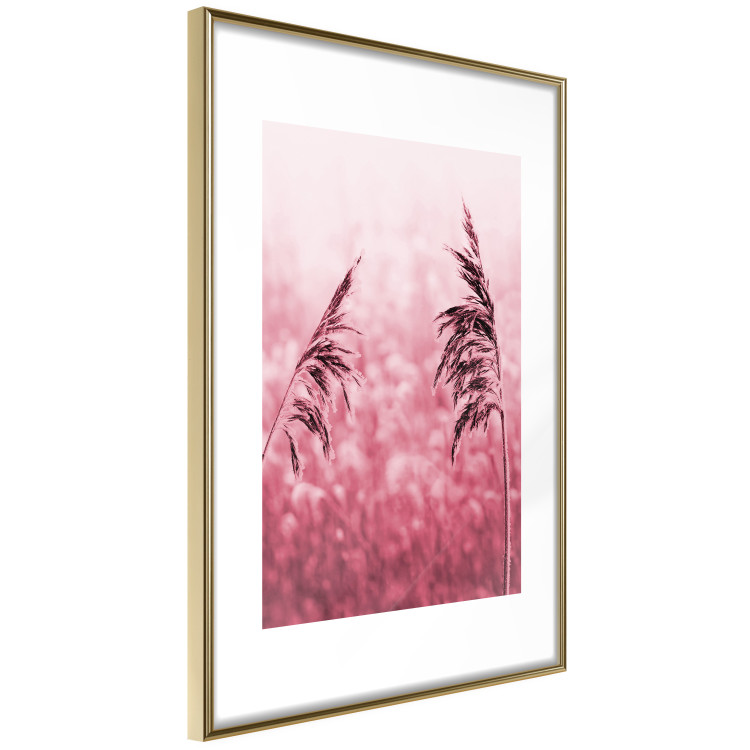 Poster Ruby Spikes - simple composition with field plants in pink tones 119185 additionalImage 14