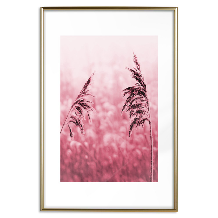 Poster Ruby Spikes - simple composition with field plants in pink tones 119185 additionalImage 19