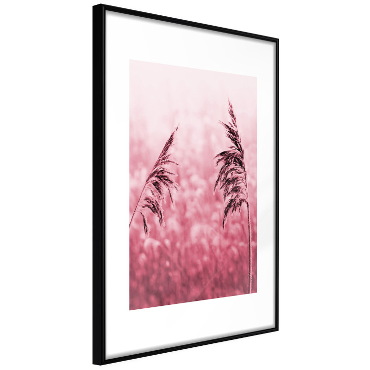 Poster Ruby Spikes - simple composition with field plants in pink tones 119185 additionalImage 10