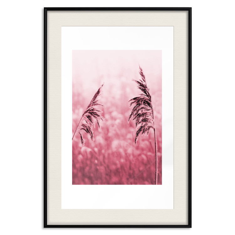 Poster Ruby Spikes - simple composition with field plants in pink tones 119185 additionalImage 24