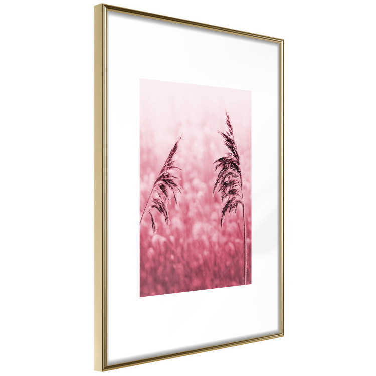 Poster Ruby Spikes - simple composition with field plants in pink tones 119185 additionalImage 6