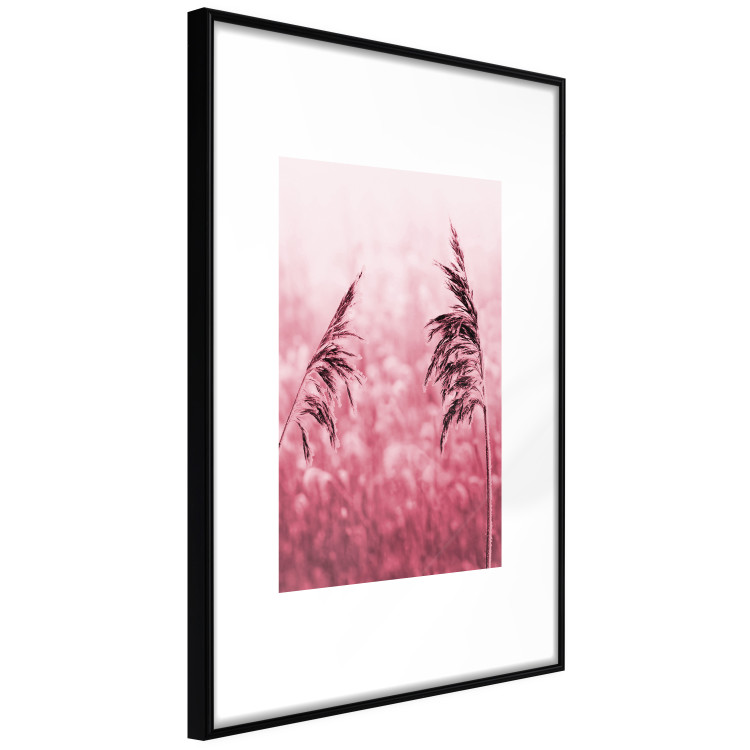 Poster Ruby Spikes - simple composition with field plants in pink tones 119185 additionalImage 11