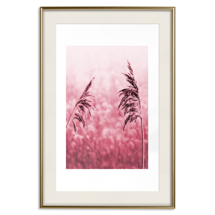 Poster Ruby Spikes - simple composition with field plants in pink tones 119185 additionalImage 23