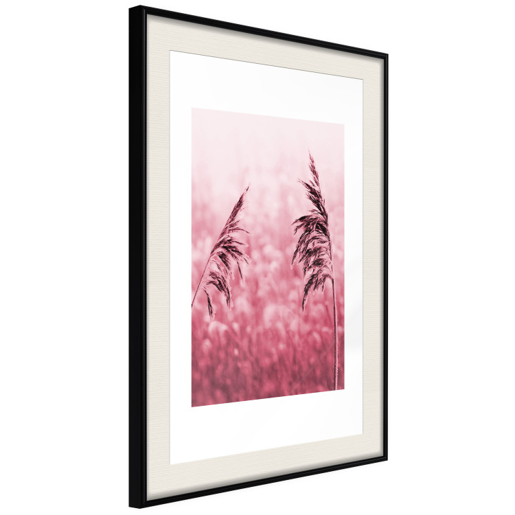 Poster Ruby Spikes - simple composition with field plants in pink tones 119185 additionalImage 3