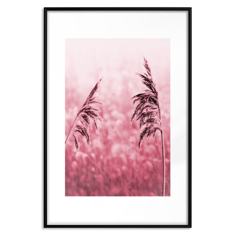 Poster Ruby Spikes - simple composition with field plants in pink tones 119185 additionalImage 19