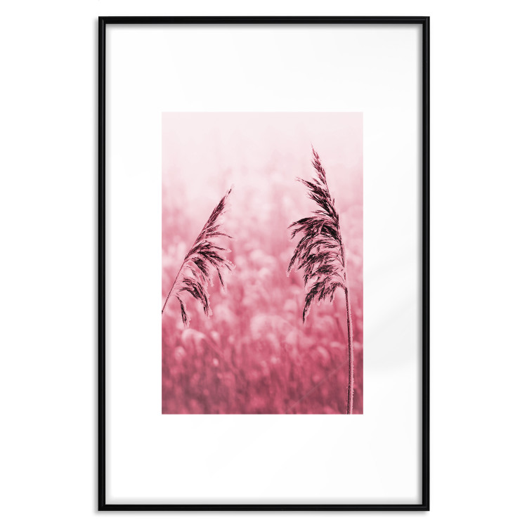 Poster Ruby Spikes - simple composition with field plants in pink tones 119185 additionalImage 18