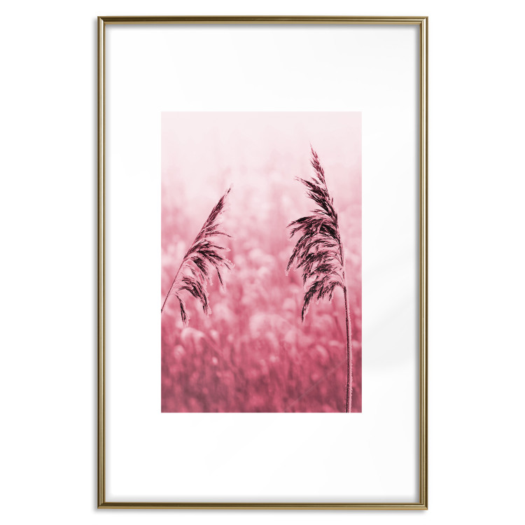 Poster Ruby Spikes - simple composition with field plants in pink tones 119185 additionalImage 27