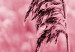 Poster Ruby Spikes - simple composition with field plants in pink tones 119185 additionalThumb 9