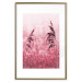 Poster Ruby Spikes - simple composition with field plants in pink tones 119185 additionalThumb 19