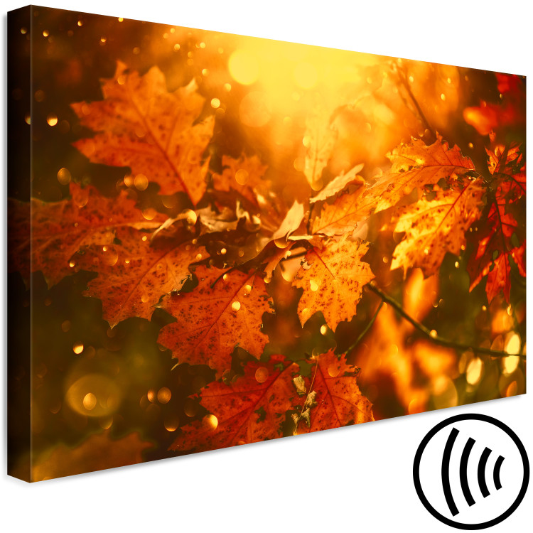 Canvas Autumn oak leaves - photograph of golden leaves in the rays of the sun 123785 additionalImage 6