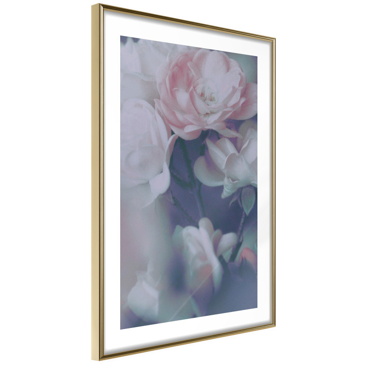 Poster Morning Roses - spring composition of white and subtly pink roses 126685 additionalImage 7