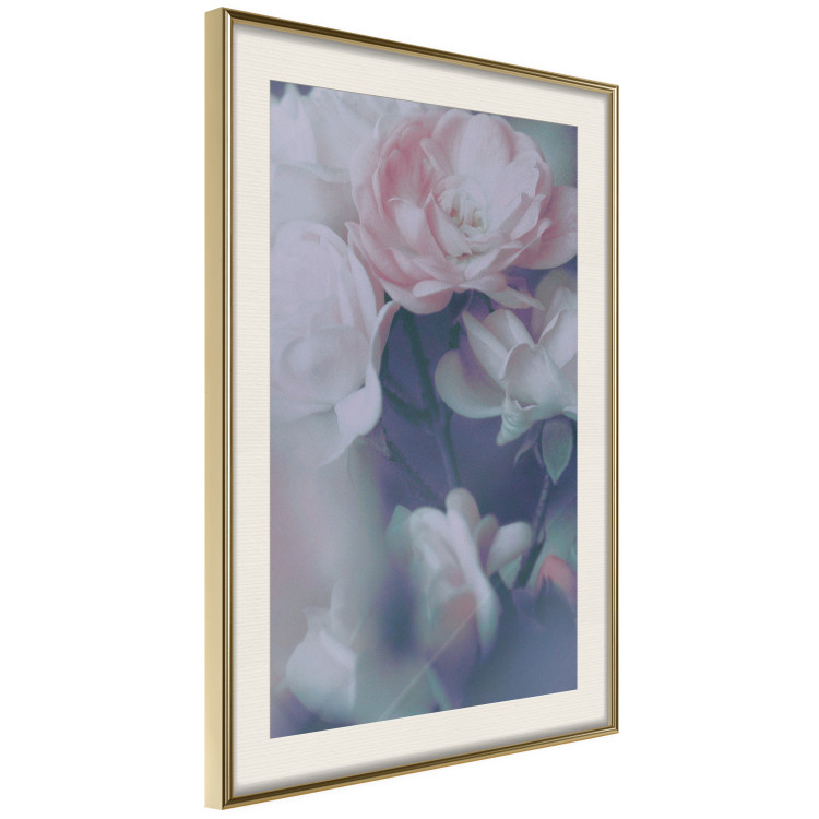 Poster Morning Roses - spring composition of white and subtly pink roses 126685 additionalImage 3