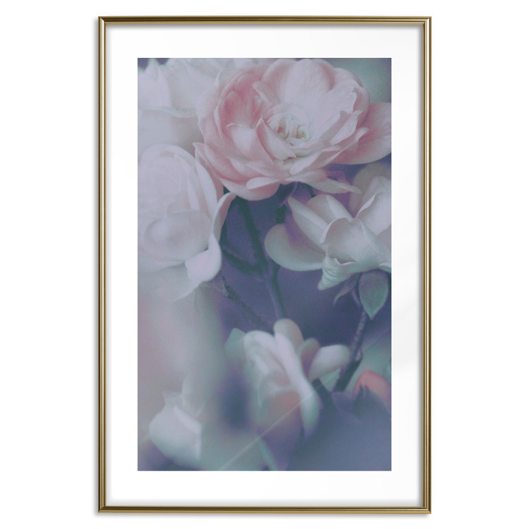 Poster Morning Roses - spring composition of white and subtly pink roses 126685 additionalImage 14