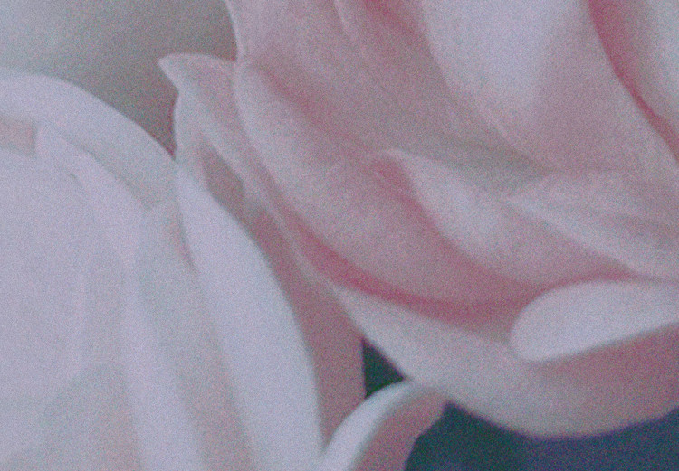 Poster Morning Roses - spring composition of white and subtly pink roses 126685 additionalImage 11