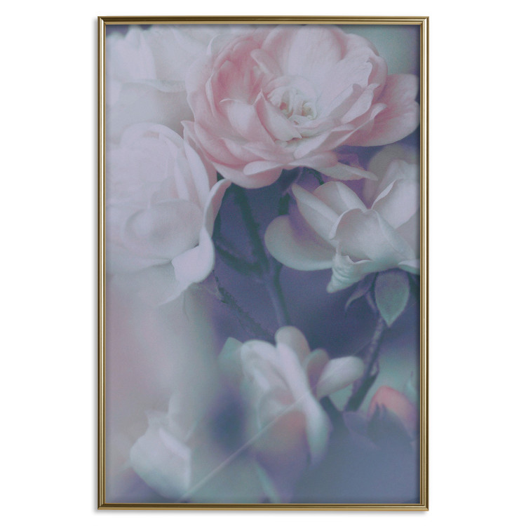 Poster Morning Roses - spring composition of white and subtly pink roses 126685 additionalImage 17