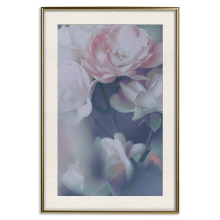 Poster Morning Roses - spring composition of white and subtly pink roses 126685 additionalImage 20