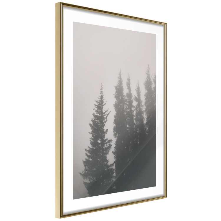 Poster Scent of Forest Mist - gray landscape of misty spruce trees 130385 additionalImage 11