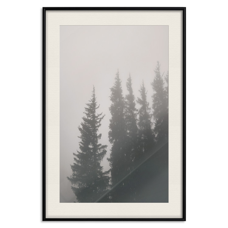 Poster Scent of Forest Mist - gray landscape of misty spruce trees 130385 additionalImage 19